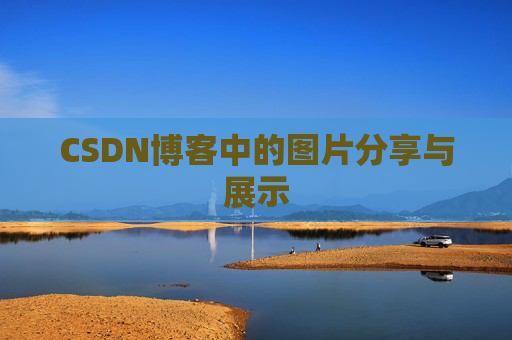 CSDN博客中的图片分享与展示